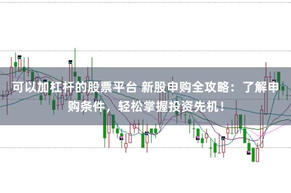 可以加杠杆的股票平台 新股申购全攻略：了解申购条件，轻松掌握投资先机！