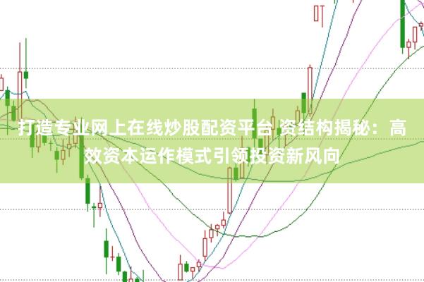 打造专业网上在线炒股配资平台 资结构揭秘：高效资本运作模式引领投资新风向