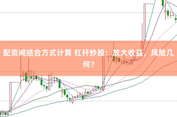 配资间结合方式计算 杠杆炒股：放大收益，风险几何？