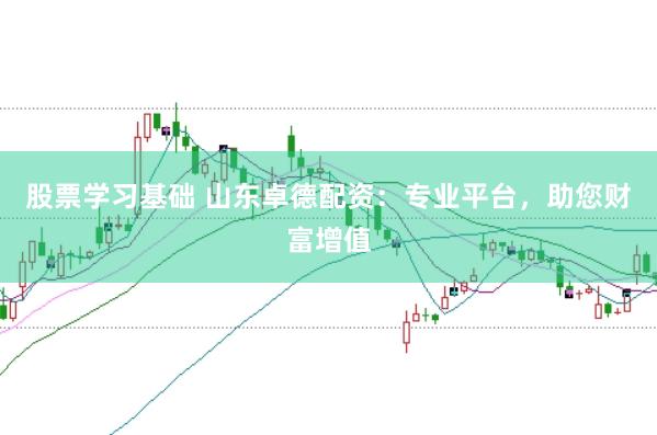 股票学习基础 山东卓德配资:专业平台,助您财富增值
