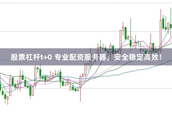 股票杠杆t+0 专业配资服务器，安全稳定高效！