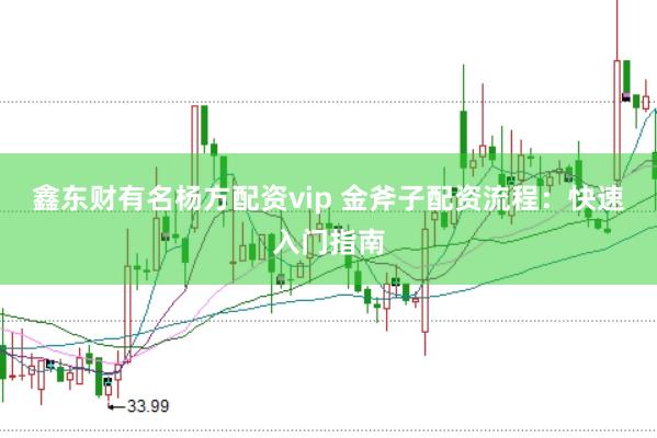 鑫东财有名杨方配资vip 金斧子配资流程：快速入门指南