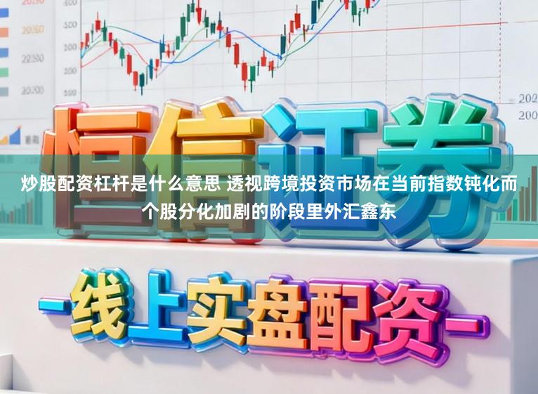 炒股配资杠杆是什么意思 透视跨境投资市场在当前指数钝化而个股分化加剧的阶段里外汇鑫东