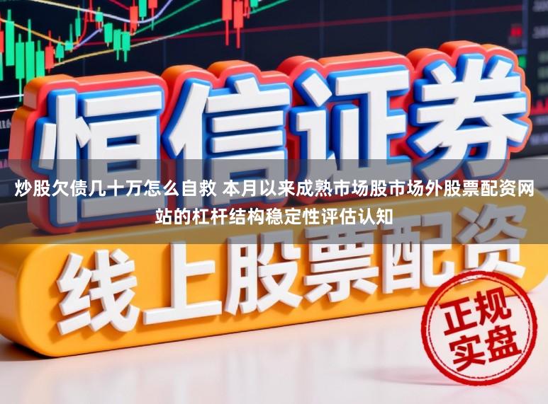 炒股欠债几十万怎么自救 本月以来成熟市场股市场外股票配资网站的杠杆结构稳定性评估认知